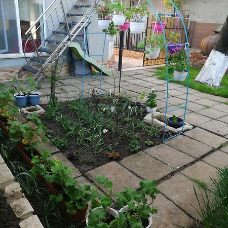 דירות Două Mai Casa Flor מראה חיצוני תמונה
