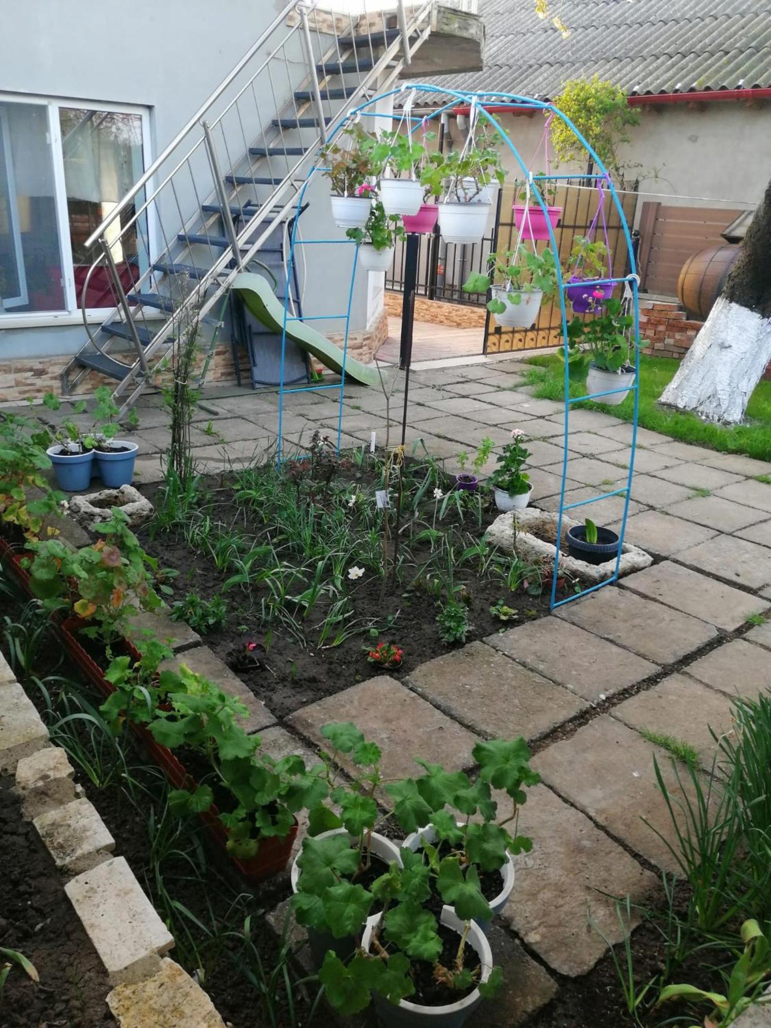 דירות Două Mai Casa Flor מראה חיצוני תמונה